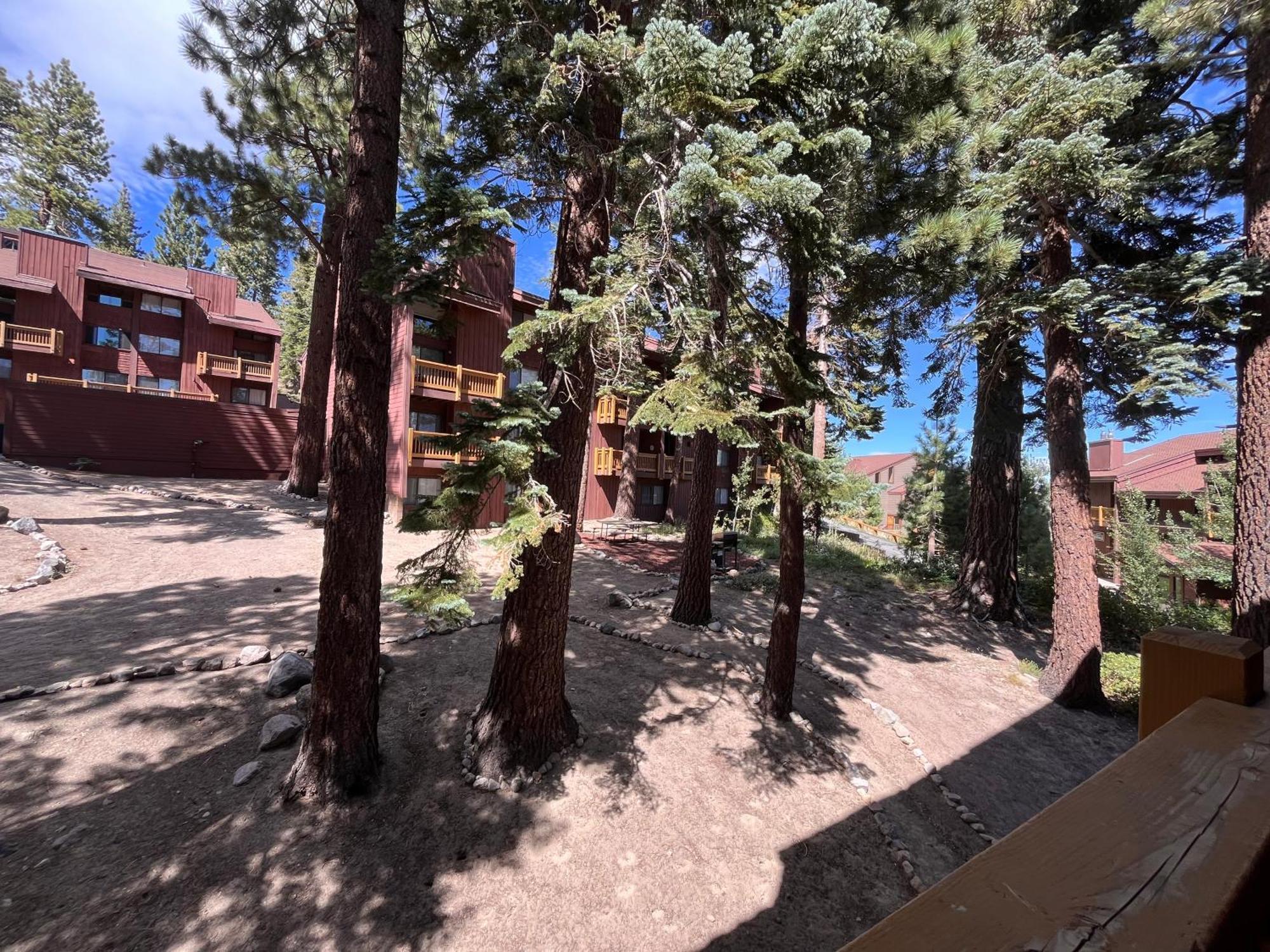 Tastefully Remodeled Condo At Mammoth Ski & Racquet Club, Hot Tub, Garage, 10 Min Walk To Ski Lifts ماموث لاكيس المظهر الخارجي الصورة